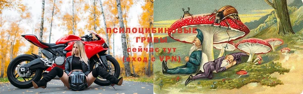 прущие крисы Алексеевка