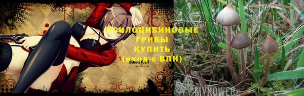 прущие крисы Алексеевка