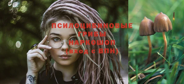 трава Сафоново