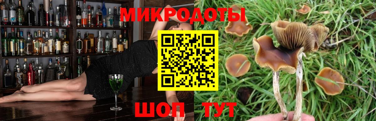 дарнет шоп  Вход с VPN  Сатка  Галлюциногенные грибы мухоморы 
